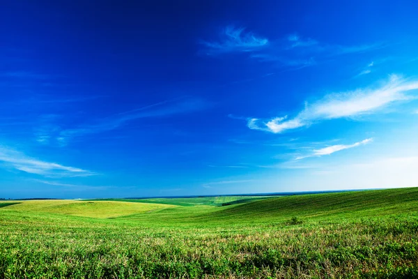 蓝天上的绿地 — 图库照片
