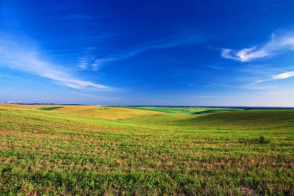 Feld über dem Himmel — Stockfoto