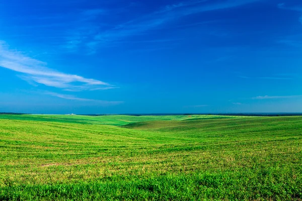 Grüne Wiese über blauem Himmel — Stockfoto