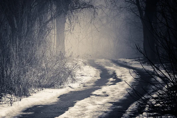Nevoeiro em um caminho — Fotografia de Stock