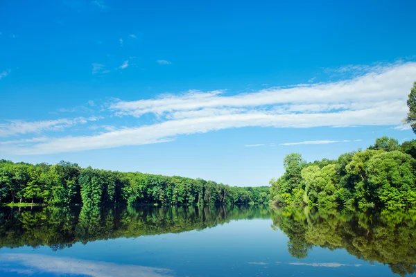 Forêt et rivière — Photo