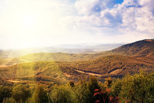 Sarı çim tepeler — Stok fotoğraf