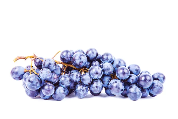 Blue Grape — Stock Photo, Image