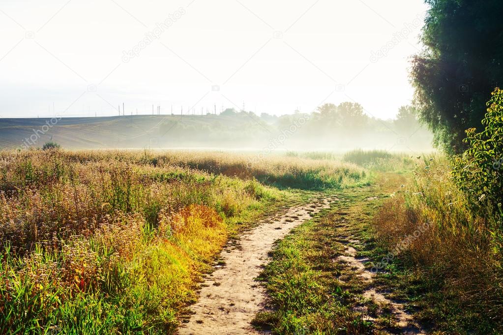 Wheat field