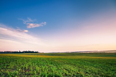 Mavi gökyüzünün altında yeşil alan