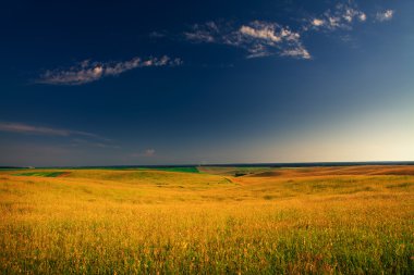 Mavi gökyüzünün altında yeşil alan