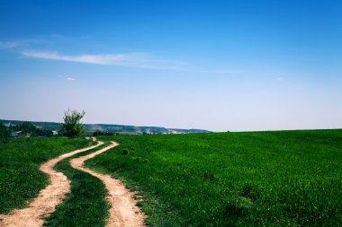 Mavi Cennet ile yeşil alan