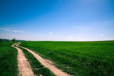 Mavi Cennet ile yeşil alan