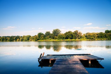 Resimli orman ve nehir.