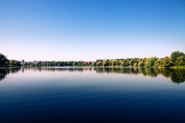 Resimli orman ve nehir.