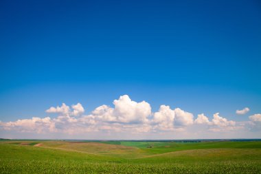 Mavi gökyüzünün altında yeşil alan