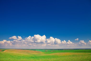 Mavi Cennet ile yeşil alan