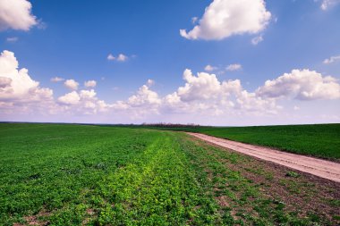 Mavi Cennet ile yeşil alan