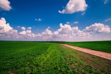 Mavi Cennet ile yeşil alan