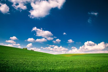 Mavi Cennet ile yeşil alan