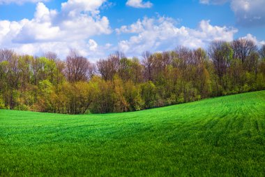 Mavi Cennet ile yeşil alan