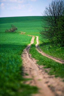 Mavi Cennet ile yeşil alan