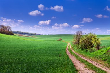 Mavi Cennet ile yeşil alan