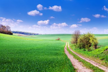 Mavi Cennet ile yeşil alan