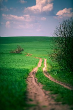 Mavi Cennet ile yeşil alan