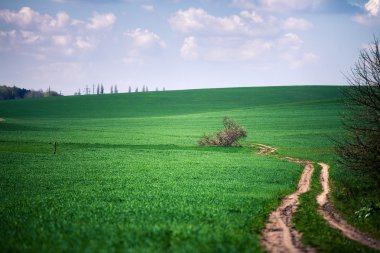 Mavi Cennet ile yeşil alan