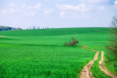 Mavi Cennet ile yeşil alan