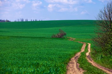 Mavi Cennet ile yeşil alan