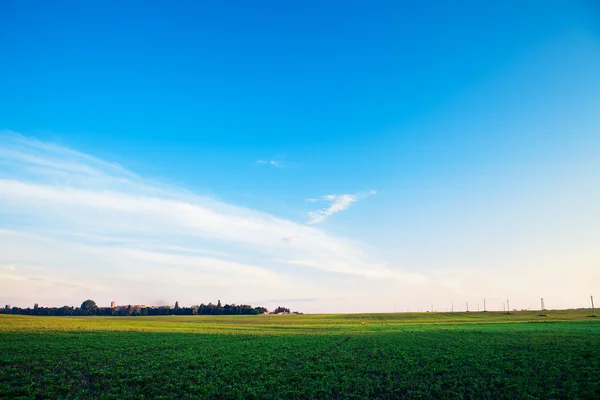 Campo verde sotto il cielo blu — Foto Stock