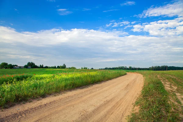 Green field under blue sky — Stock Photo, Image