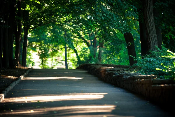 Schöne Allee in den Park — Stockfoto