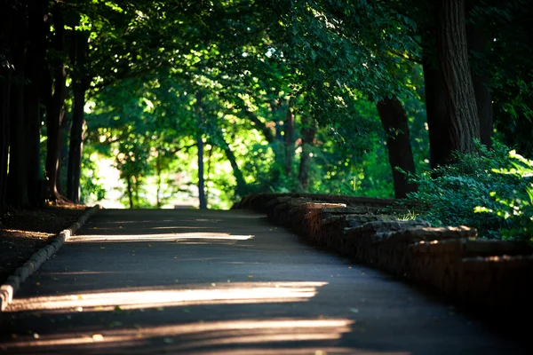 Schöne Allee in den Park — Stockfoto