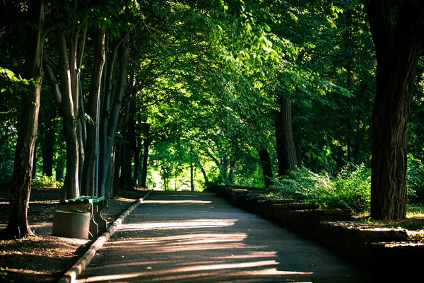 Smuk vej ind i parken - Stock-foto