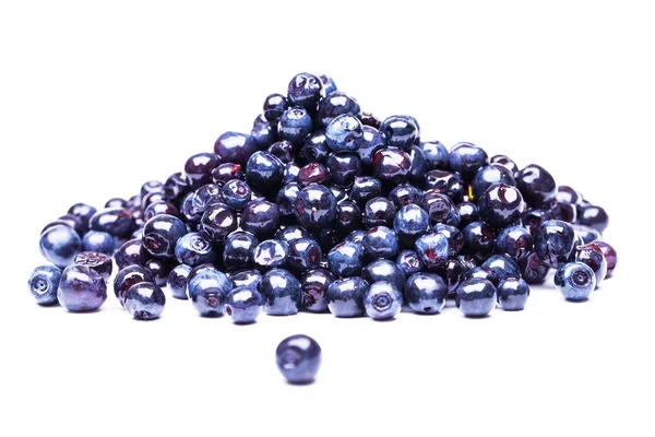 Composition from a fresh bow blueberry — Stock Photo, Image