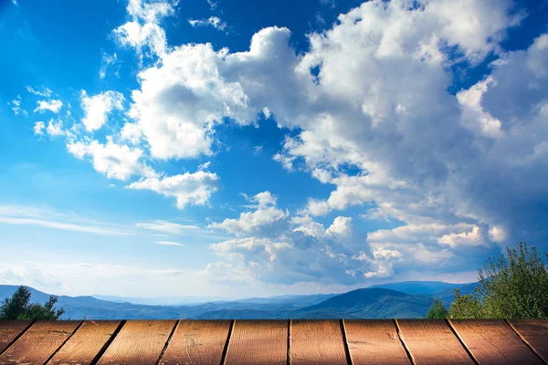 Kiefernwald — Stockfoto