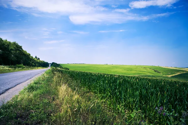 Schöne grüne Wiese — Stockfoto