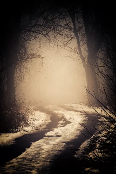 Nevoeiro em um caminho — Fotografia de Stock