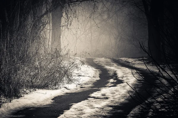 Nebel auf einem Weg — Stockfoto