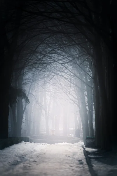 Niebla en un camino — Foto de Stock