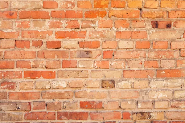 Brick wall background — Stock Photo, Image