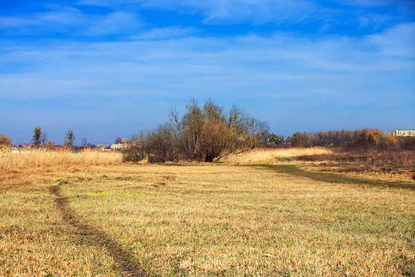 Beautiful morning — Stock Photo, Image