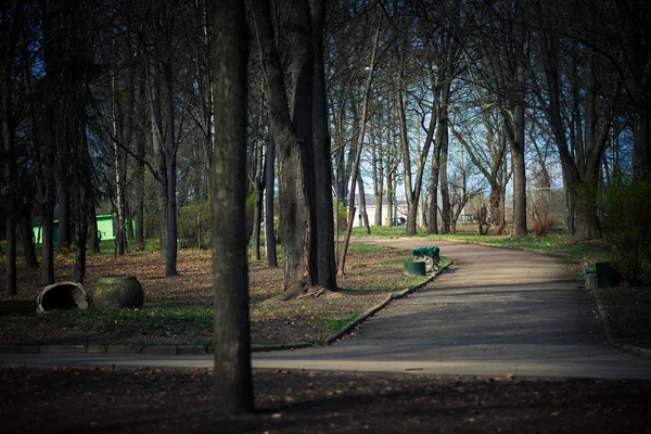 Parc automnal — Photo