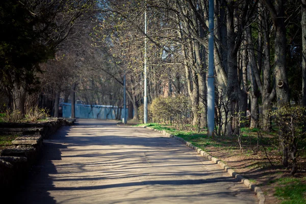 Parco autunnale — Foto Stock