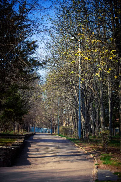 Parque Outonal — Fotografia de Stock