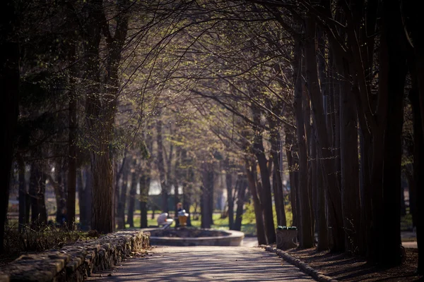 Parque Outonal — Fotografia de Stock