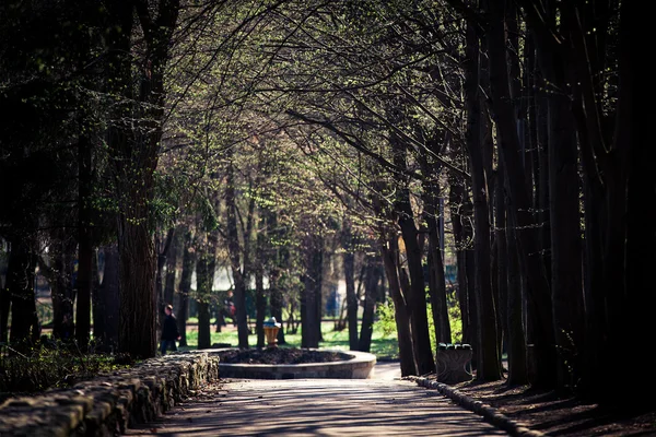 Parque Outonal — Fotografia de Stock