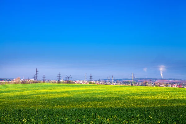 Campo verde sob o céu azul — Fotografia de Stock