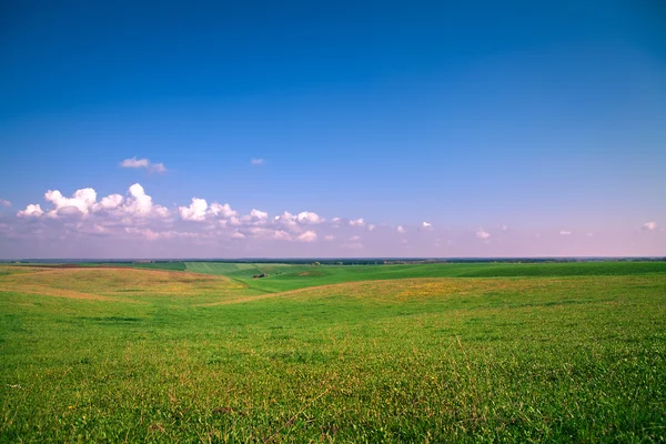 Campo verde com céu azul — Fotografia de Stock