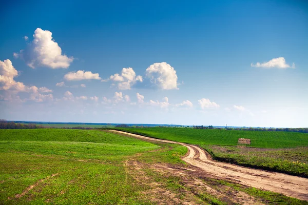 Grønn mark under blå himmel – stockfoto