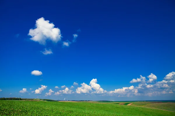 Green field under blue sky — Stock Photo, Image