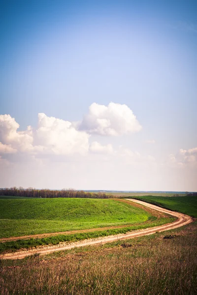 Beautiful morning green field — Stock Photo, Image